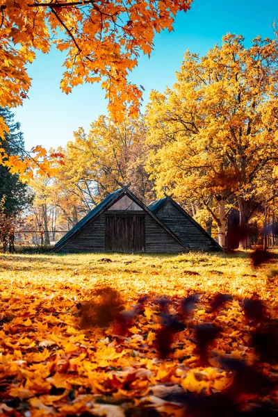 Domki Drewniane Okresie Jesiennym Domki Leśne — Zdjęcie stockowe