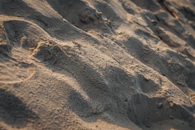 Kum dokusu. Arka plan için kumsal. 