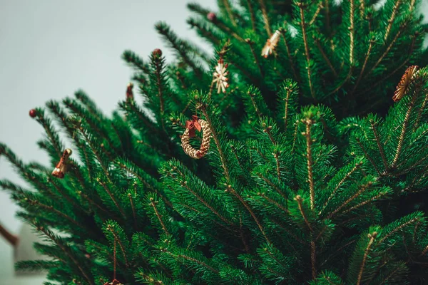 Geschmückter Weihnachtsbaum Auf Verschwommenem Hintergrund — Stockfoto