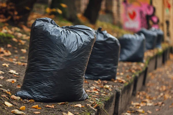 Sonbahar yapraklı siyah plastik torbalar, şehir temizliği. 