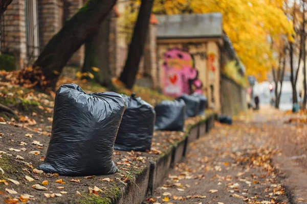 Fila Sacos Plástico Preto Com Folhas Outono Limpeza Cidade — Fotografia de Stock