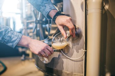 Bira fabrikasında bira demleme ekipmanı. Biralı adam.