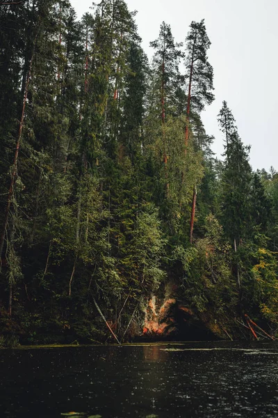 Rainy Day Natural Green Forest Lake Forest Lake — Stock Photo, Image