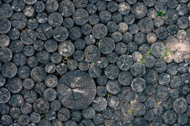 Kereste arkaplanı, eski günlük kayıtları