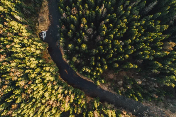 绿林树木与河流的空中景观 自然纹理背景 — 图库照片