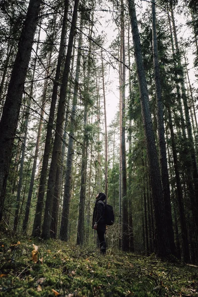 Muž Krásném Lese Příroda Cestování — Stock fotografie