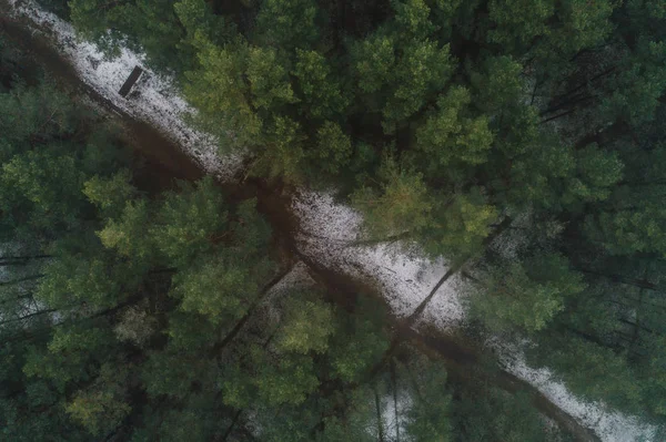 Aerial View Mystery Winter Forest Covered Fog — Stock Photo, Image