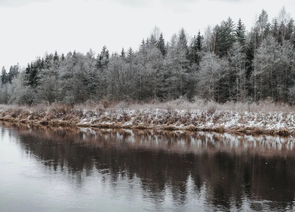 Beautiful Wild Forest Winter Time River — Stock Photo, Image