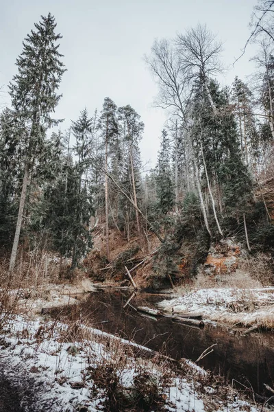 Beautiful Wild Forest Winter Time River — Stock Photo, Image