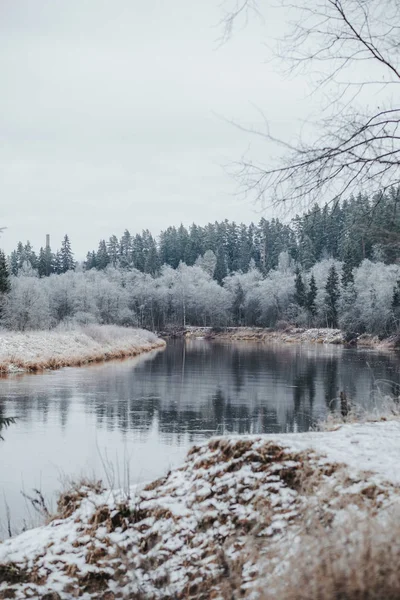 Kışın Nehir Kıyısında Güzel Bir Orman — Stok fotoğraf