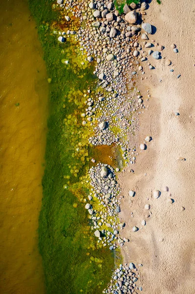 Скелястий Балтійський Берег Зеленими Морськими Водоростями Каменях — стокове фото