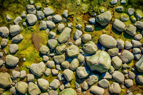 Vue Aérienne Sur Les Rochers Mer Avec Algue Verte — Photo