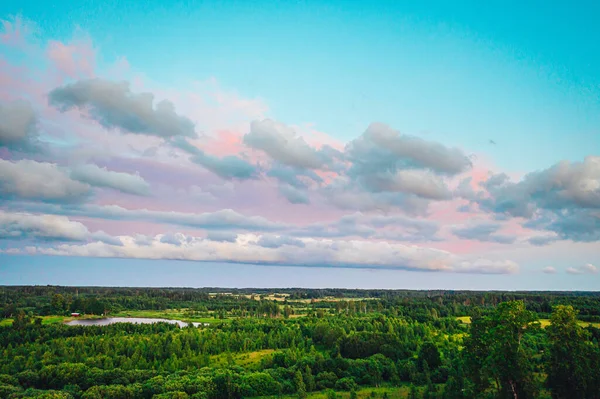 Nubes Rosadas Sobre Campo Rural Con Árboles Lago Paisaje Vívido —  Fotos de Stock