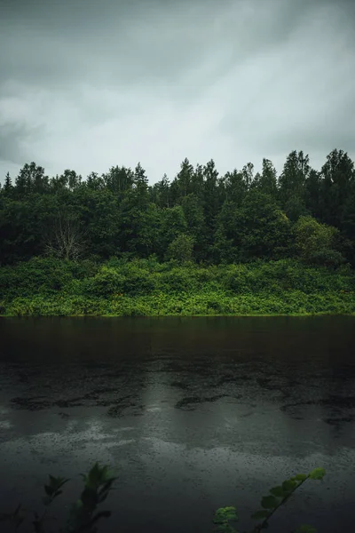 Moody Forest Širokou Řekou Gauja Lotyšsku Déšť Předstihu — Stock fotografie