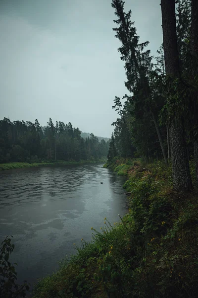 Moody Forest Wide River Gauja Latvia Rain Fores — Stock Photo, Image