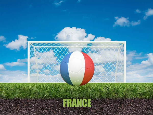 France football  on football or soccer field ,3d