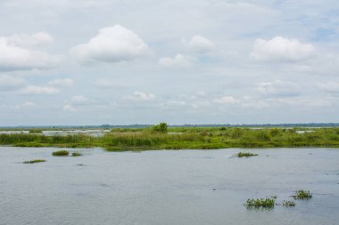  Kırmızı Lotus deniz Udonthani, Tayland