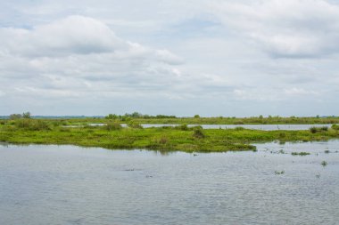  Kırmızı Lotus deniz Udonthani, Tayland