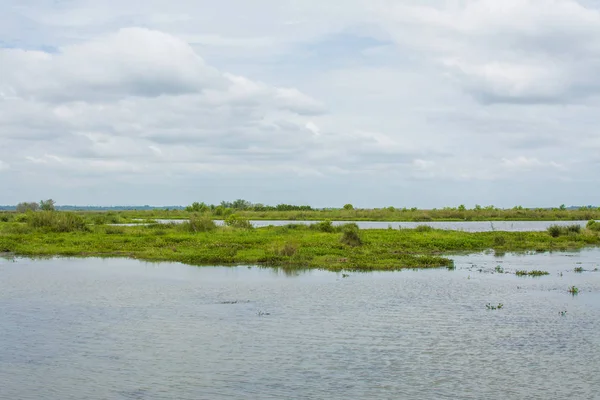  Kırmızı Lotus deniz Udonthani, Tayland