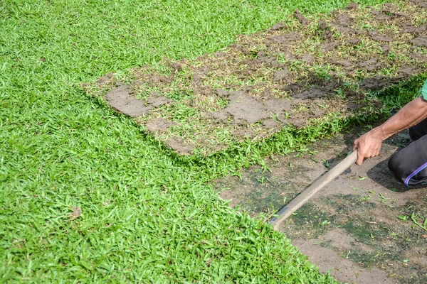 Harvesting Sod Turf Sold Commercially — Stock Photo, Image