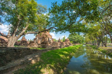 Wat Mahathat Tapınağı Sukhothai Tarihi Parkı, Tayland 