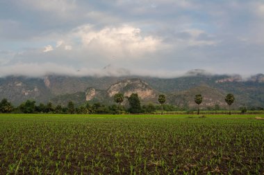 Peyzaj alanı Dağı'nda Uthai thani, Tayland ile