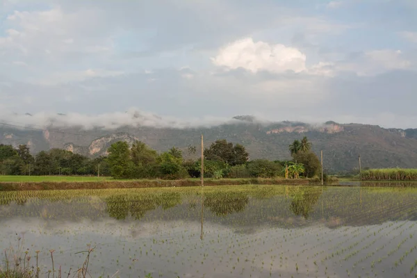 Landschaft Feld Mit Berg Bei Uthai Thani Thailand — Stockfoto