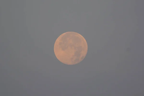 满月在早晨 — 图库照片