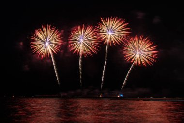 Beautiful firework display for celebration over the sea clipart