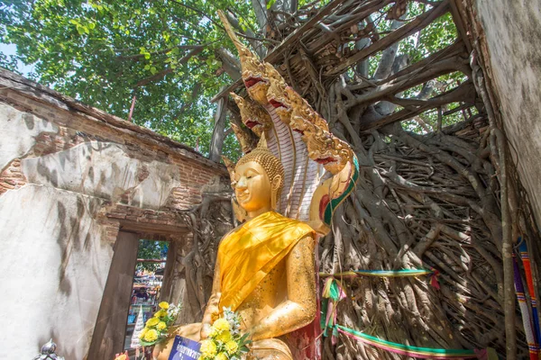 Buddha ve starověkém chrámu v provincii Wat Sang Kratai Ang Thong, — Stock fotografie