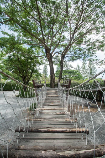 Most wiszący z dużym drzewem — Zdjęcie stockowe
