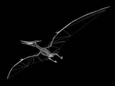 Pterosaur dinozorlar, 3D render tel çerçeve