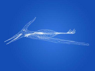 Pterosaur dinozorlar, 3D render tel çerçeve