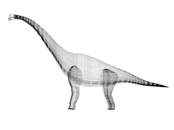 Diplodocus dinosaurios, 3d marco de alambre de renderizado —  Fotos de Stock