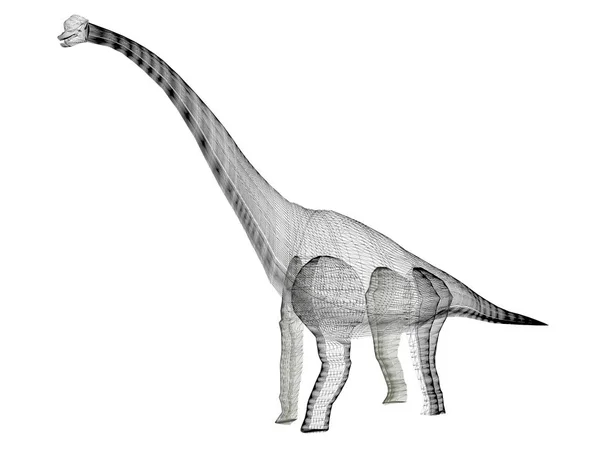 Diplodocus dinosaurios, 3d marco de alambre de renderizado —  Fotos de Stock