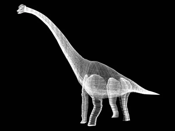 Diplodocus dinosaurios, 3d marco de alambre de renderizado —  Fotos de Stock