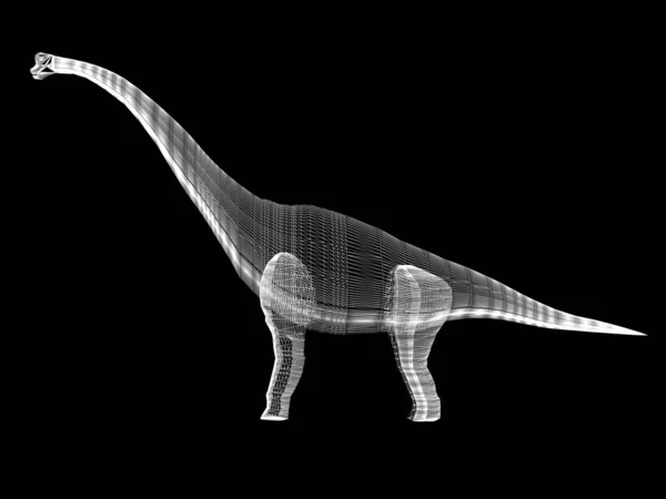 Diplodocus-Dinosaurier, 3D-Rendering-Drahtgestell — Stockfoto