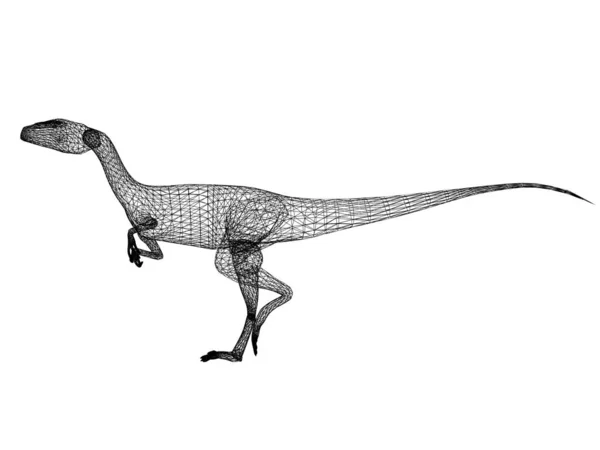 Dinosaurios raptor, 3d marco de alambre de renderizado —  Fotos de Stock