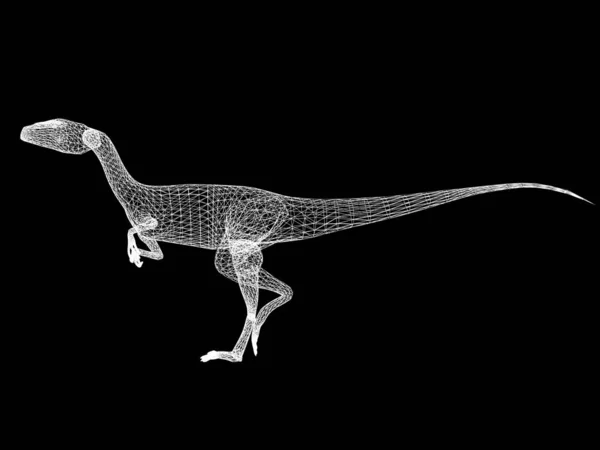 Dinosaurios raptor, 3d marco de alambre de renderizado —  Fotos de Stock