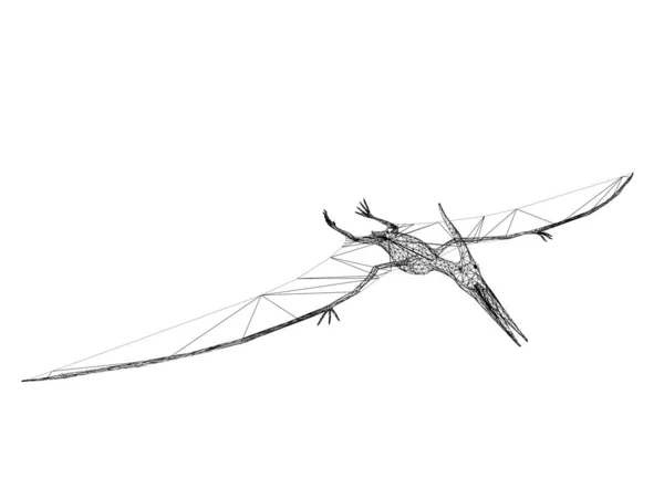 Dinosaurios pterosaurios, marco de alambre de renderizado 3d —  Fotos de Stock