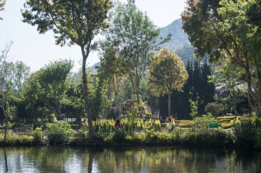  Chaing Mai, Tayland-12 Ocak 2020: İnsanlar Tarım İstasyonunda seyahat ediyorlar - Doi Inthanon In Chiang Mai, Tayland 