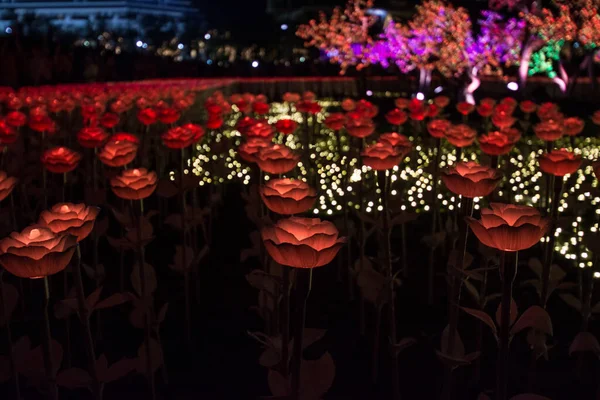 Verlichting Bangkok Ter Ere Van Kroning Van Koning Rama — Stockfoto