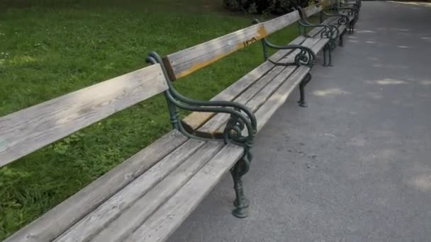 Long Row Benches Park — Stock Video