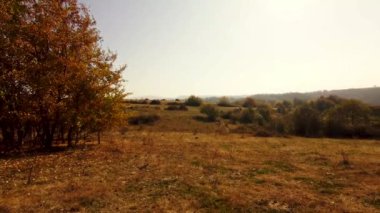 Sonbahar mevsiminde tepelerin ve ormanların güzel manzarası