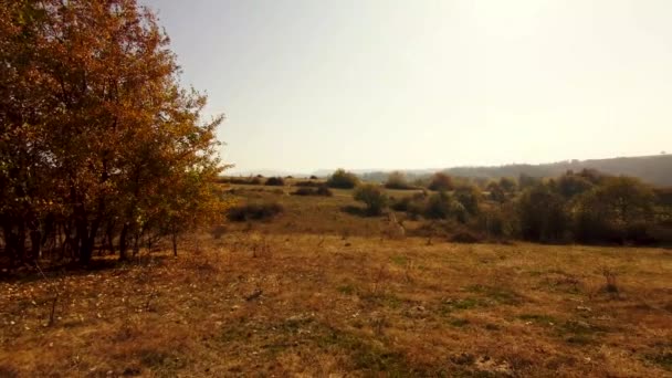 Piękny Krajobraz Wzgórz Lasów Sezonie Jesiennym — Wideo stockowe