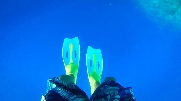 Ласты Бесплатный Дайвер Подводное Плавание Морское Дно Подводный Мир Красное — стоковое фото