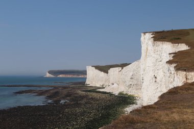 Okyanusun yanındaki büyük beyaz kayalar, mavi gökyüzü ve yeşil çayırlar.