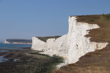 Okyanusun yanındaki büyük beyaz kayalar, mavi gökyüzü ve yeşil çayırlar.