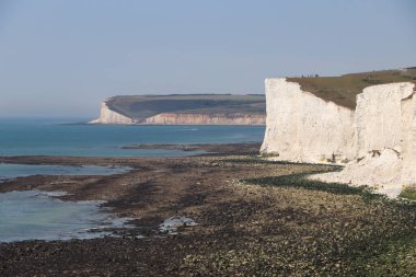 Okyanusun yanındaki büyük beyaz kayalar, mavi gökyüzü ve yeşil çayırlar.