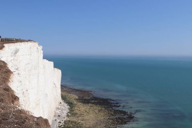 Okyanusun yanındaki büyük beyaz kayalar, mavi gökyüzü ve yeşil çayırlar.